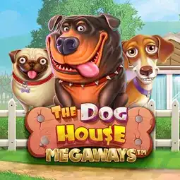 The Dog House Megaways gra w Aquaspins Casino dla graczy z Polski