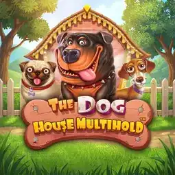The Dog House Multihold gra w Aquaspins Casino dla graczy z Polski